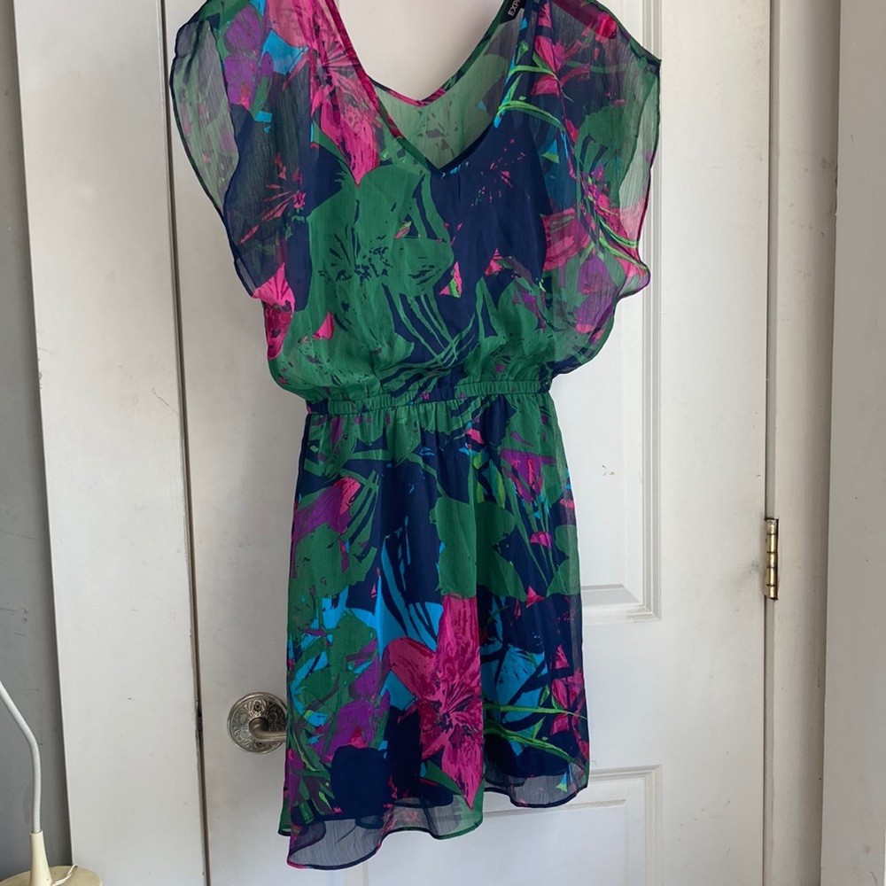 Express sheer floral dress . Fully lined
